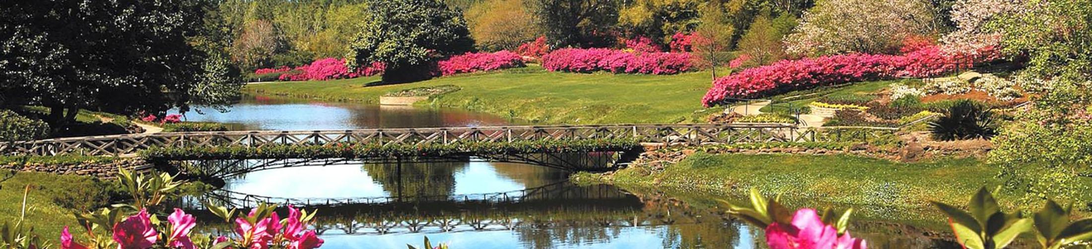 Bellingrath Gardens, an attraction located near our gulf coast college.