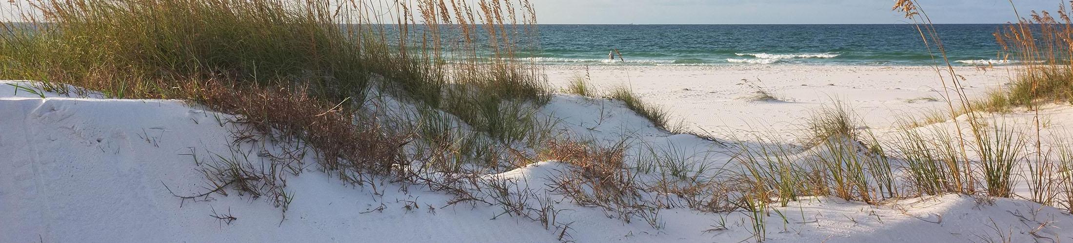 Gulf Shores Beach, a short drive from our gulf coast college.